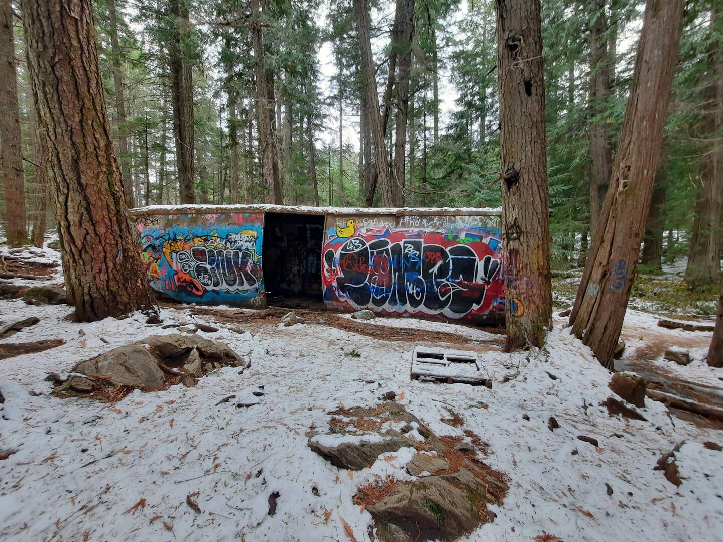 Train Wreck