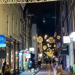 More Christmas lights