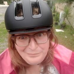 Giro d'Italia kann gestartet werden