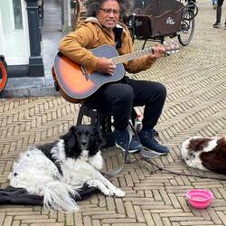 Great Busker