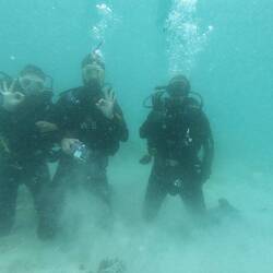 Discovery Dive