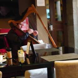 Harpist in breakfast room
