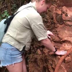 Das Stadtkind sieht ein Tier "Da! Schau!"