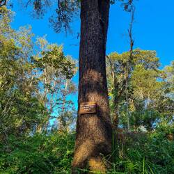 Überall diese tollen Sprüche auf dem Gelände verteilt