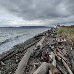 Discovery Park on Puget Sound / Discovery Park am Puget-Sund
