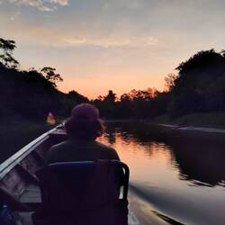 Abendliche Bootfahrt mit Glühwürmchen und dem Blitzen der Kaiman-Augen im Taschenlampenlicht