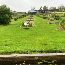 Woolmers Rose Garden.