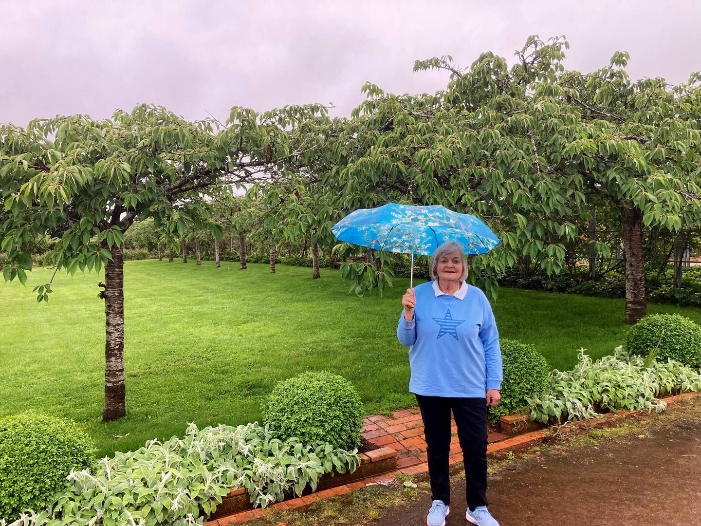 Woolmers Rose Garden.