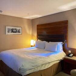 My room at the Sofitel