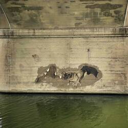 Unfortunely we didn't stay til dusk to watch them fly. 😞