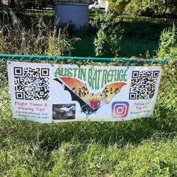 Austin's Bat Refuge ... World's largest urban bat colony.