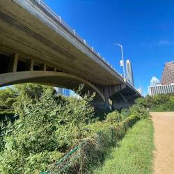 You can hear the bats!!