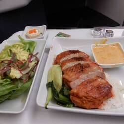 Supper of panang duck. This was pretty bad.
