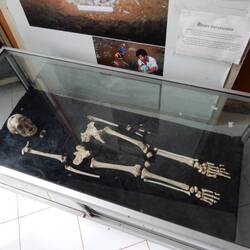 Meet Flo, or Homo Floresiensis. All 106cm of her.