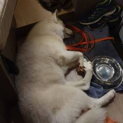 Völlig fertig vom Tag