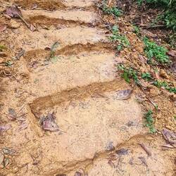 Der Weg ist das Ziel...