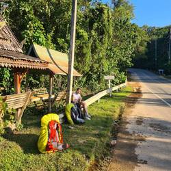 Ausgesetzt an der Straße. Zurück in der Zivilisation