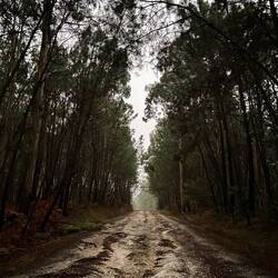 A wet and rainy start to the day