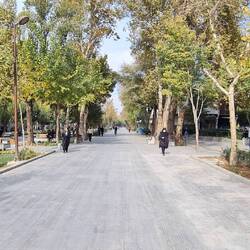 Deserted main shopping street