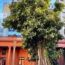 Im Garten des Museums