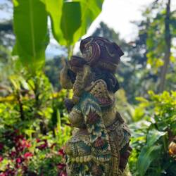 Kadek's garden
