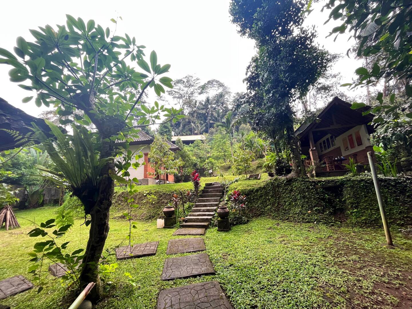 The beginning of the huge garden of Kadek's guest house and yoga place