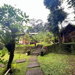 The beginning of the huge garden of Kadek's guest house and yoga place