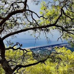 The huge beach of Patara!