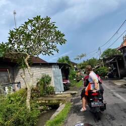 On the way to the temple