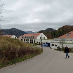 Mi aveva puntata già da prima che ansia io ero concentrata per la foto e non me ne sono accorta ahah