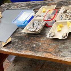 Morning tea, Adventure Bay, Bruny Island.