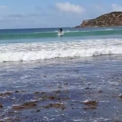 Steve on a wave at FB small swell but expected to increase