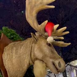 Auf dem Weihnachtsmarkt...