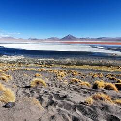 Laguna Colorada