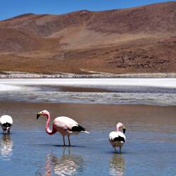Lagune Hedionda