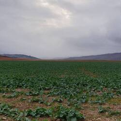 Und von Weitem naht noch mal Regen