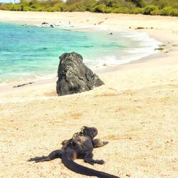 Fantastic beach water quite cool but really strong waves