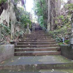 The steps at Penestanan. I climbed this most days in order to get to Jalan Raya Ubud.