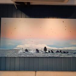 Das Bild hängt in einem Café, Anders war zwar nicht auf dem Foto aber auch mit Kajak auf dem Wasser