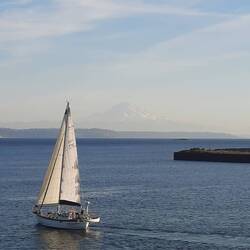 Mount Rainier