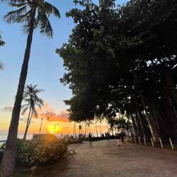 Sonnenuntergang schauen