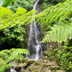 Hidden waterfall