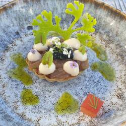 Essen im Campingplatz Restaurant