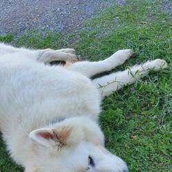 Platt nach dem heutigen Tag