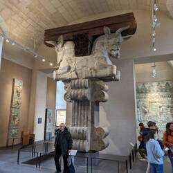 Capital with the foreparts of bulls