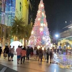 Christmas tree outside the mall entrance