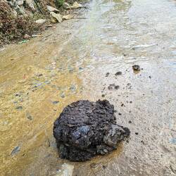 Überall diese riesen Tretmienen😅