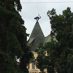 𝐊𝐚𝐤̧𝐮 𝐍𝐚𝐦𝐬, 𝐂𝐚𝐬𝐚 𝐝𝐞𝐥 𝐆𝐚𝐭𝐭𝐨