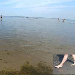 𝙞 𝙥𝙞𝙚𝙙𝙞 𝙣𝙚𝙡 𝘽𝙖𝙡𝙩𝙞𝙘𝙤- 𝑱𝒖𝒓𝒎𝒂𝒍𝒂, 𝙡𝙖 𝙥𝙚𝙧𝙡𝙖 𝙙𝙚𝙡𝙡𝙖 𝙇𝙚𝙩𝙩𝙤𝙣𝙞𝙖