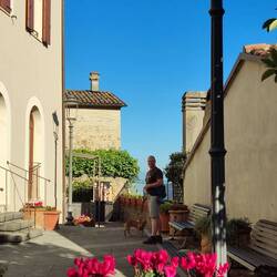 Die Gassen erkunden.